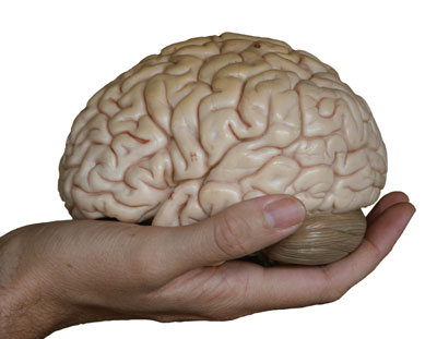 Brain-in-hand.jpg