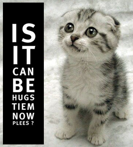 IS IT CAN BE HUGS TIEM NOW PLEES CAT.jpg