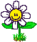Dancing smiling flower