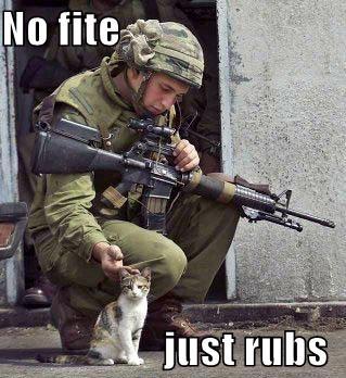 Funny-pictures-soldier-and-cat.jpg