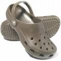 Croc shoe.jpg