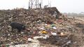 Delhi-wastedump.jpg