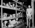 Holocaust.jpg