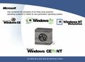 Windows-cement.jpg