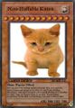 Non-huffable kitten card.JPG
