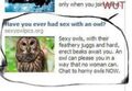 Sexy owls advertisement.jpg