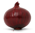 Blood onion.png