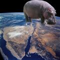 Hippo planet.jpg