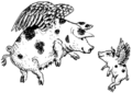 Flying pig and baby pig.gif