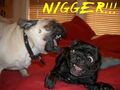 Niggerdog.jpg