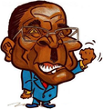 Mugabe Idiot.PNG