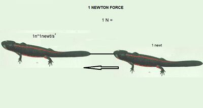 1 newton force.jpg