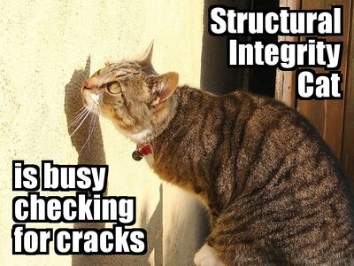 Inspector cat.jpg
