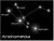 Andromeda constellation.jpg