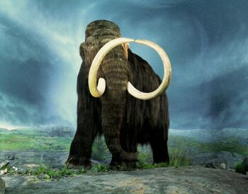 Woolly mammoth.jpg