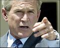 Bush pointing finger.jpg