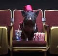 Pig in theater seat.jpg