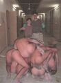 Abu Ghraib 53.jpg