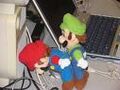 Mario Luigi.jpg