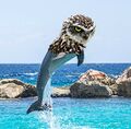 Welsh Marsh Owl.jpg