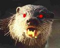 Evil possessed otter.jpg
