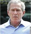 Bush sad.jpg
