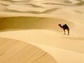 Sahara.jpg