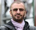 Ringo2.jpg