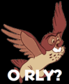 Owl O rly.PNG
