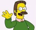 Ned Flanders.jpg