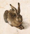 Durer-sells-bunny.jpg