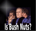 Is-bush-nuts-article.gif