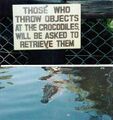 Rocks crocodiles.jpg